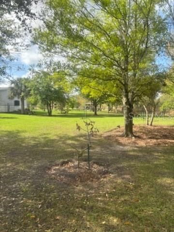 15136 NW 292nd Street , Okeechobee, FL 34972 Photo