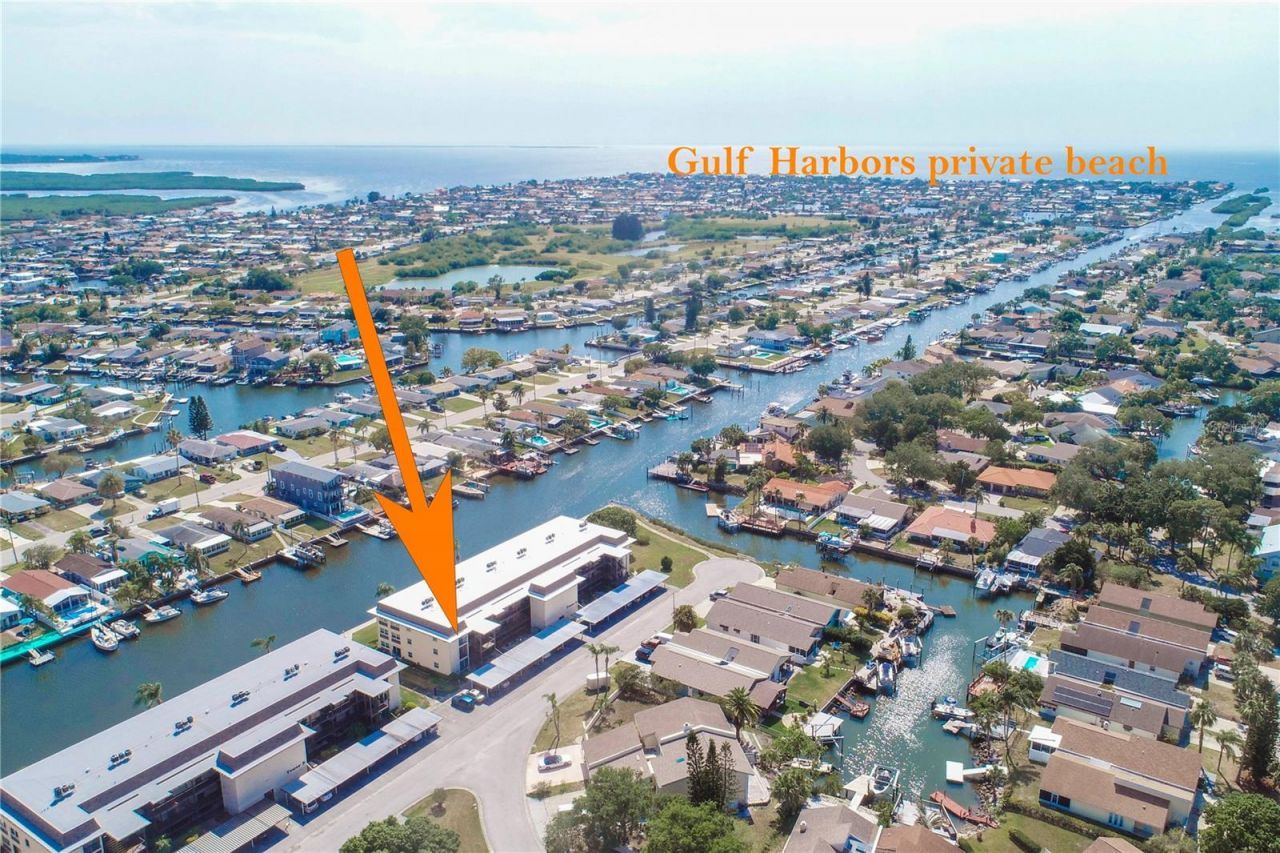 4452 Garnet Drive , Unit 306, New Port Richey, FL 34652 Photo