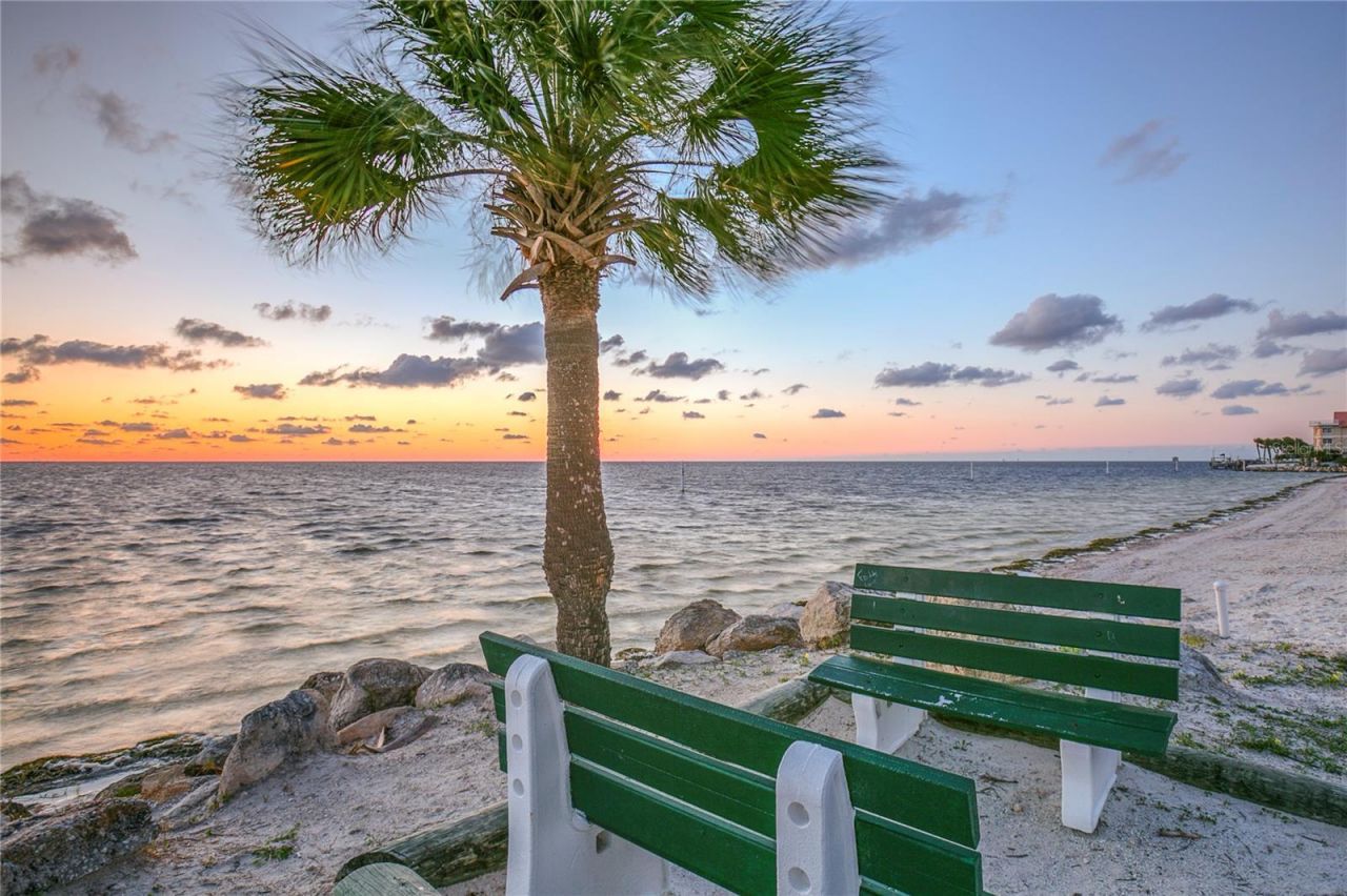 4452 Garnet Drive , Unit 306, New Port Richey, FL 34652 Photo