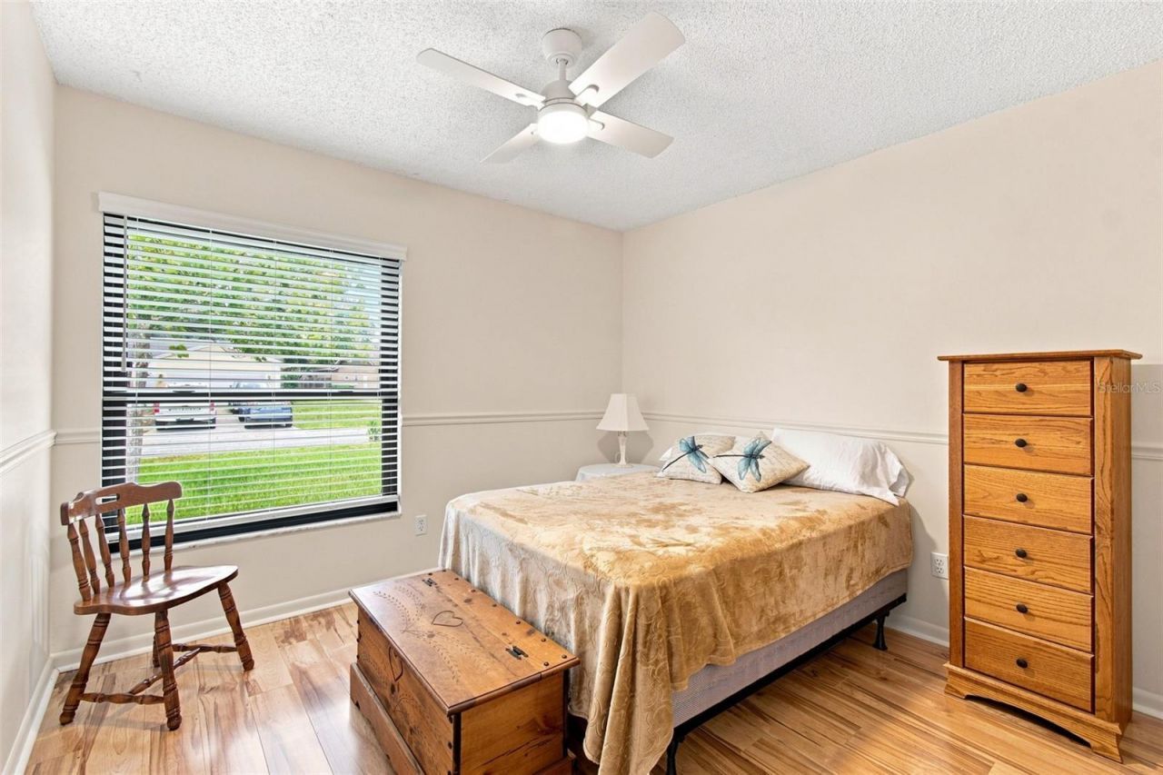 3721 Sand Pebble Drive, Valrico, FL 33596 Photo