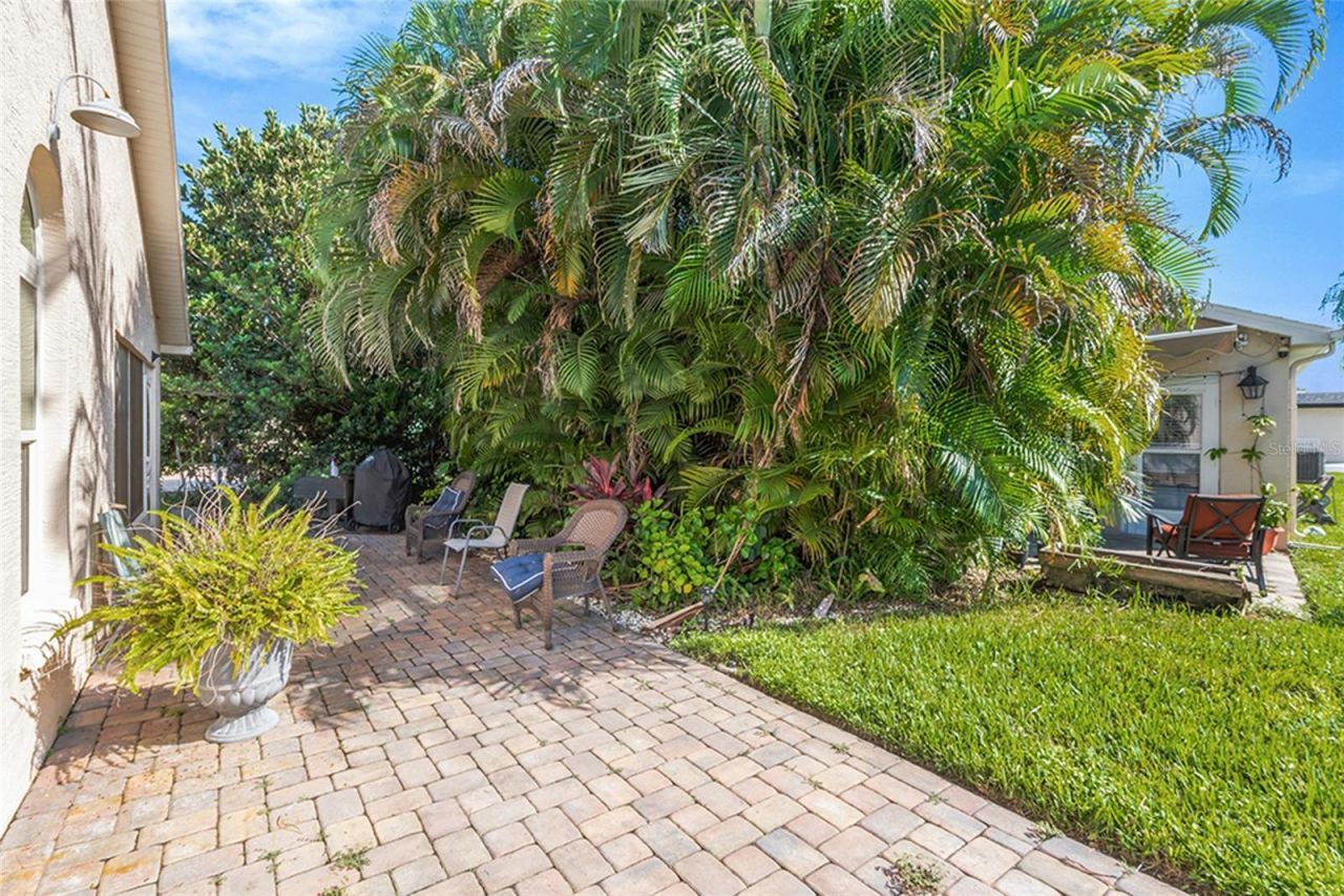 3248 Noemi Drive, New Port Richey, FL 34655 Photo