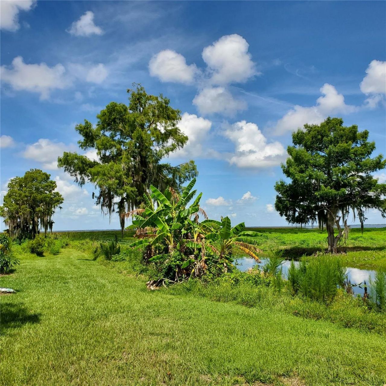 1303 Club Lane , Lorida, FL 33857 Photo