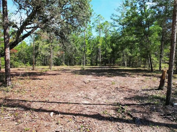 SE 6TH LANE , WILLISTON, FL 32696