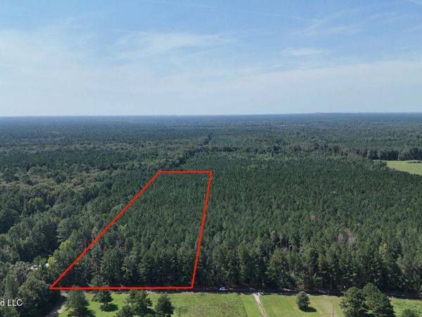 Davis Road, Morton, MS 39117