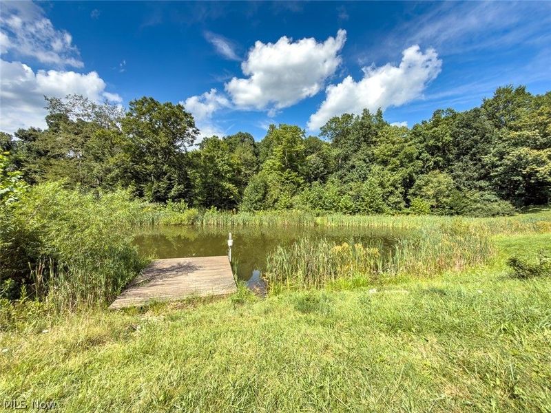 43532 Township Road 55, Coshocton, OH 43812 Photo 27