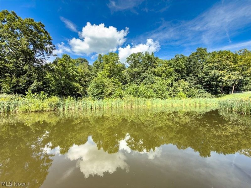 43532 Township Road 55, Coshocton, OH 43812 Photo 29