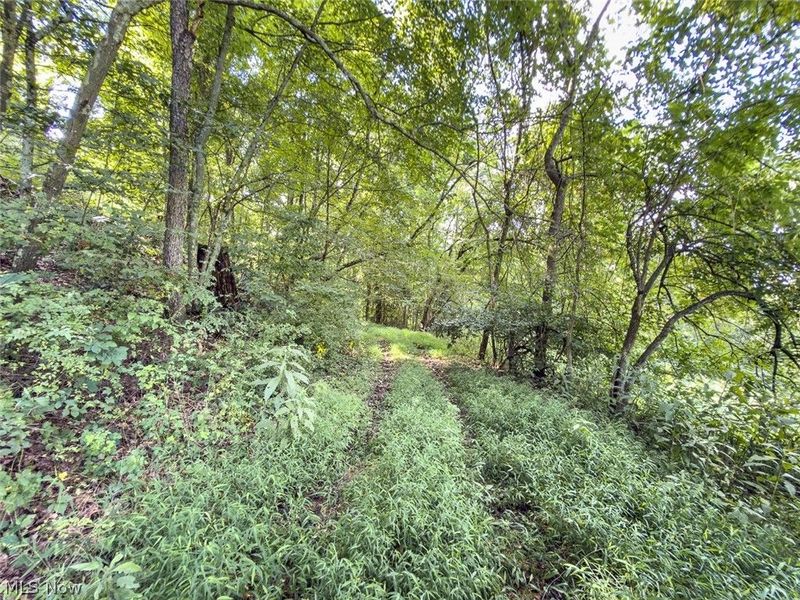 43532 Township Road 55, Coshocton, OH 43812 Photo 32