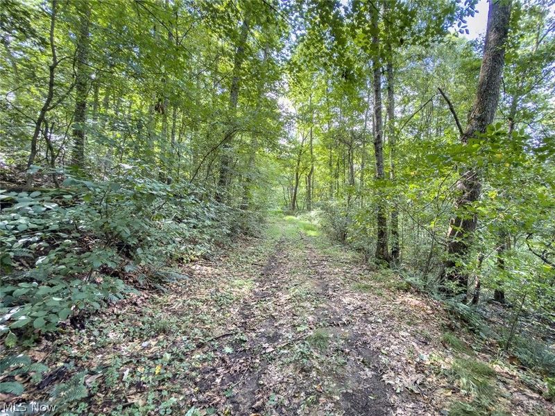 43532 Township Road 55, Coshocton, OH 43812 Photo 33
