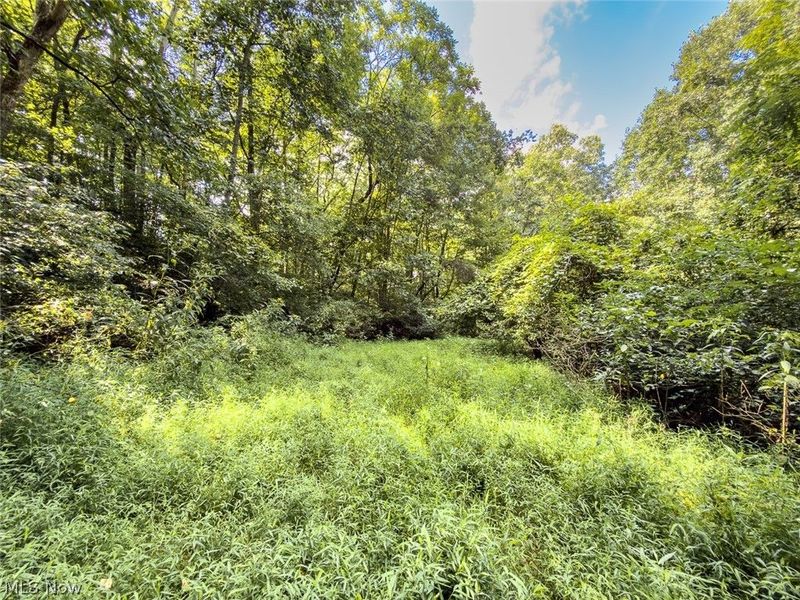 43532 Township Road 55, Coshocton, OH 43812 Photo 34