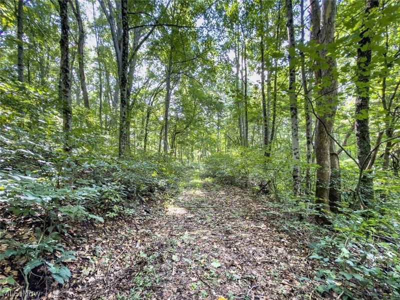 43532 Township Road 55, Coshocton, OH 43812 Photo 35