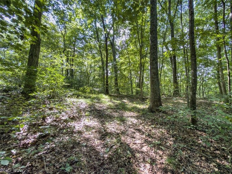 43532 Township Road 55, Coshocton, OH 43812 Photo 36