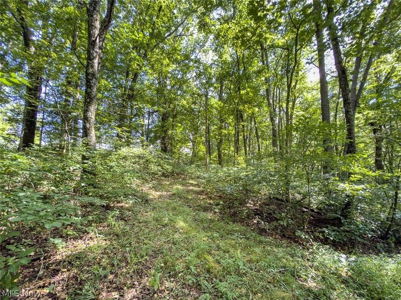43532 Township Road 55, Coshocton, OH 43812 Photo 37