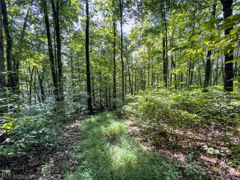 43532 Township Road 55, Coshocton, OH 43812 Photo 38