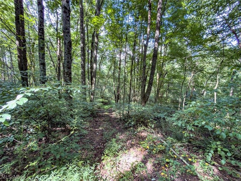 43532 Township Road 55, Coshocton, OH 43812 Photo 39