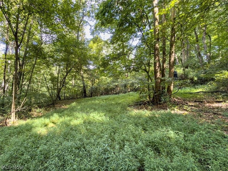 43532 Township Road 55, Coshocton, OH 43812 Photo 40