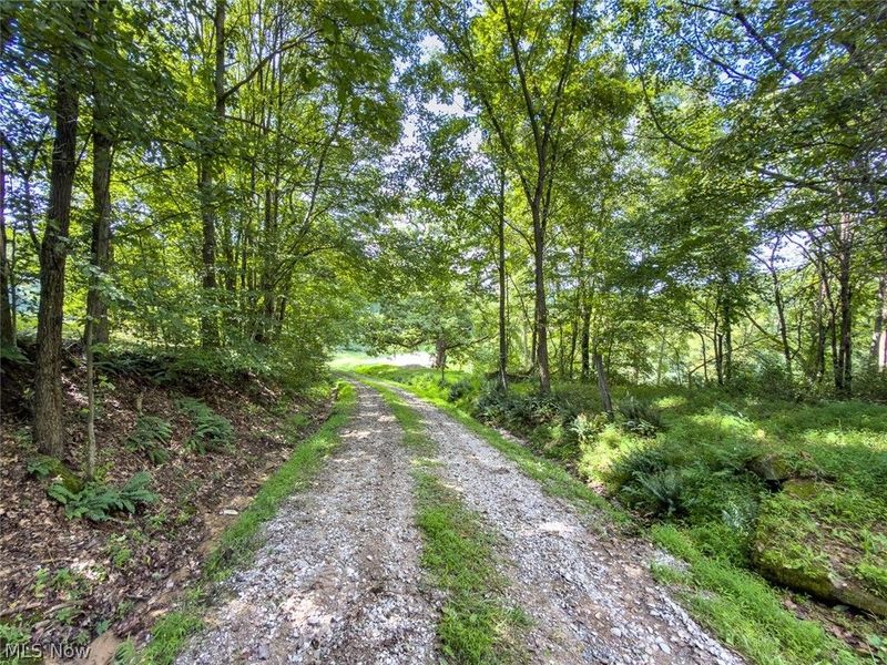 43532 Township Road 55, Coshocton, OH 43812 Photo 8