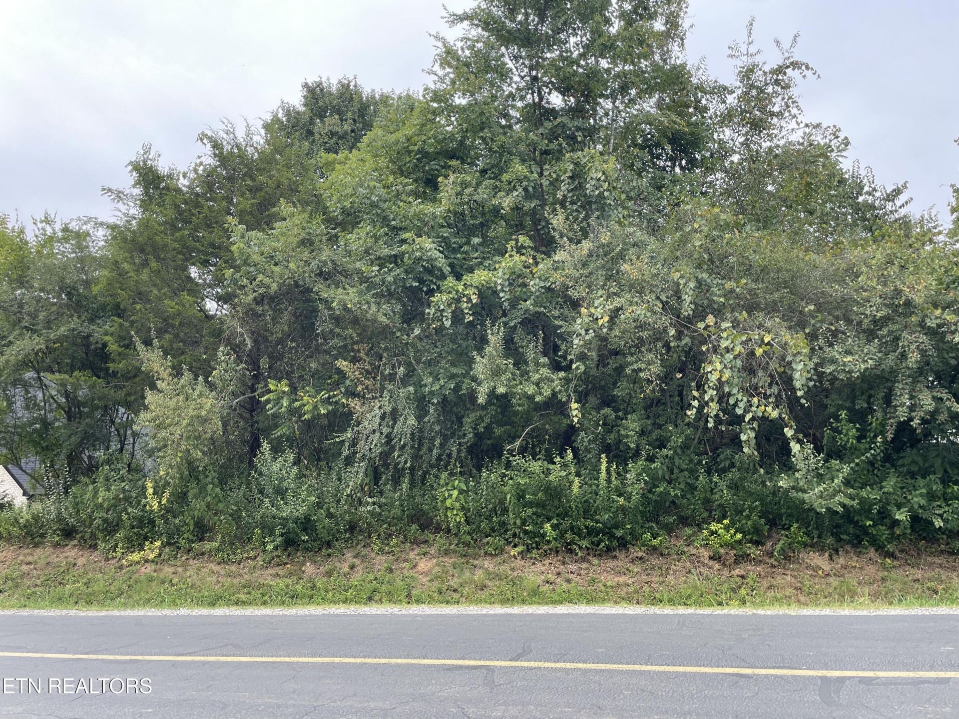273 Ootsima Way, Loudon, TN 37774 Main Photo