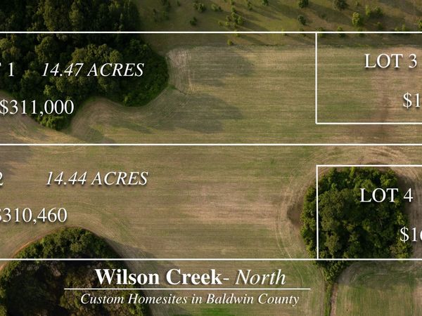0 Pine Road, Stapleton, AL 36578