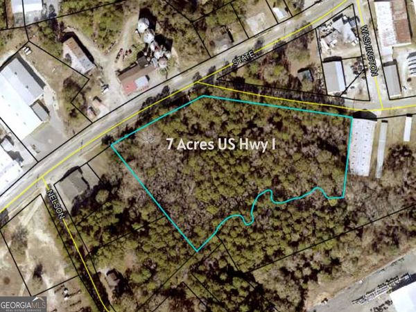 0 S U S Highway 1, Lyons, GA 30436