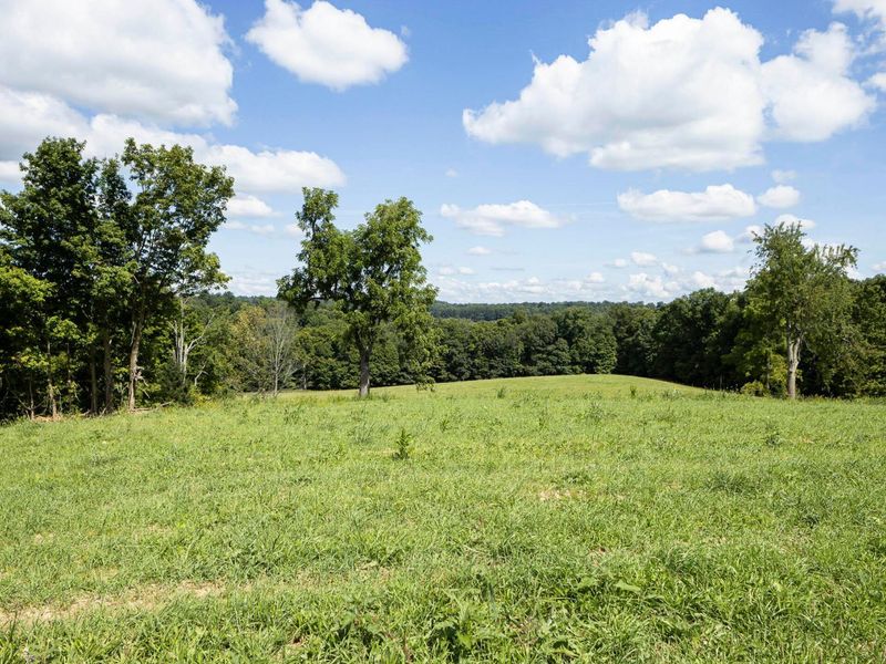 3229 Hastings Newville Road, Mansfield, OH 44903 Photo 40