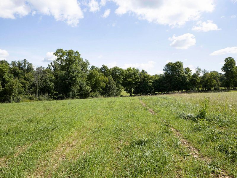 3229 Hastings Newville Road, Mansfield, OH 44903 Photo 41
