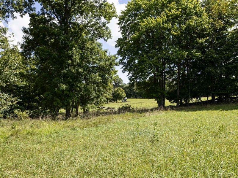 3229 Hastings Newville Road, Mansfield, OH 44903 Photo 45