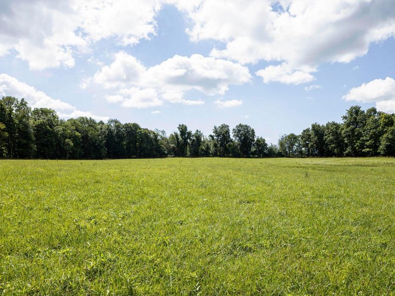 3229 Hastings Newville Road, Mansfield, OH 44903 Photo 46