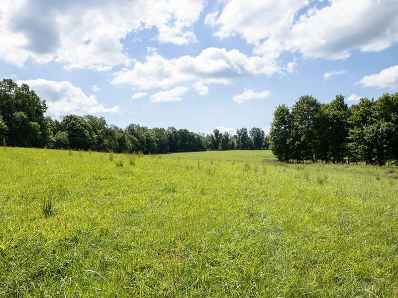 3229 Hastings Newville Road, Mansfield, OH 44903 Photo 48