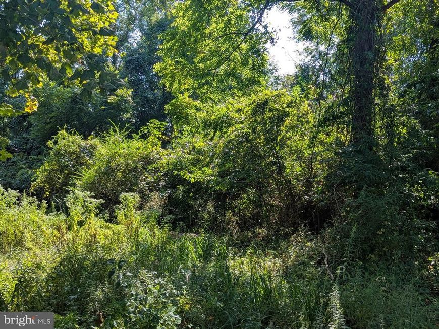 Oakley Drive, Bushwood, MD 20618 Main Photo