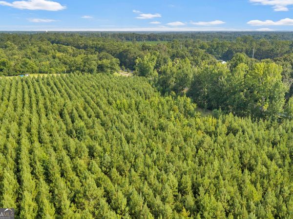 ALLEN LOT Turkey Creek Road, Danville, GA 31017