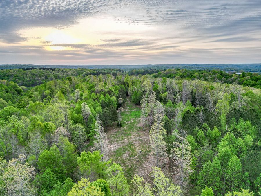 Property Image 61