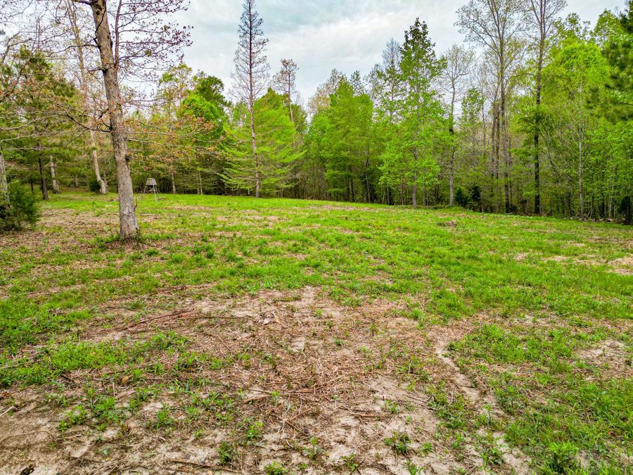 Property Image 63