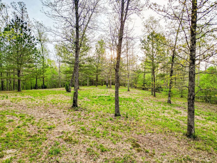 Property Image 68
