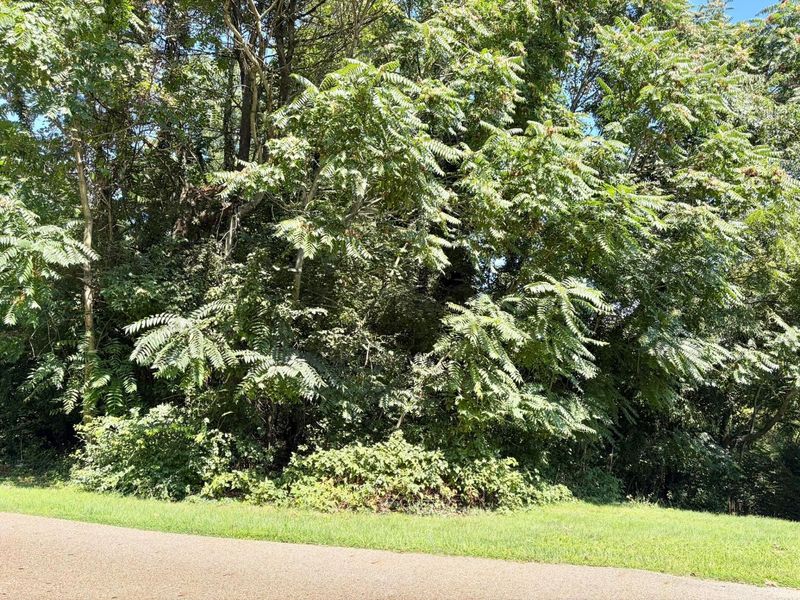 0 Pleasant View Drive, Unit Lot 34, Nashport, OH 43830 Photo 11