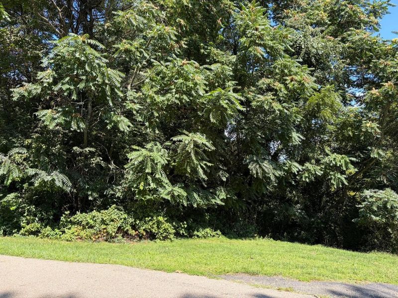 0 Pleasant View Drive, Unit Lot 34, Nashport, OH 43830 Photo 12