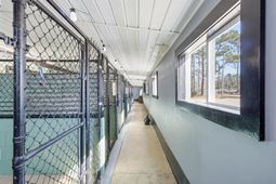 3054 Forestbrook Rd. photo 4