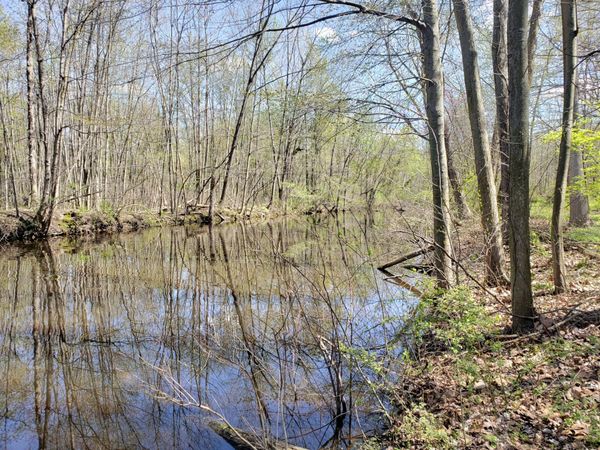 5295 N Watervliet Road, Watervliet, MI 49098