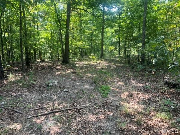 0 County Road 341 , Piedmont, MO 63957