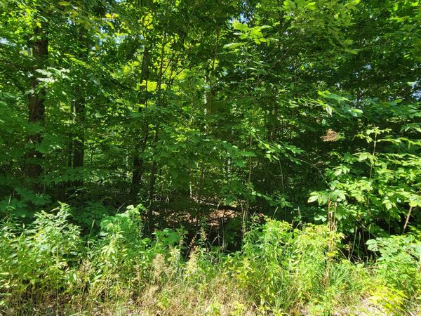 Lot 223 Beechnut Ln, Wolverine, MI 49799