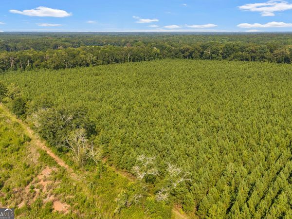 ALLEN LOT B Turkey Creek Road, Danville, GA 31017