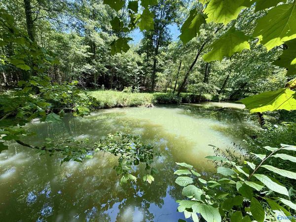 126 AC County Road 97, Gaylesville, AL 35973