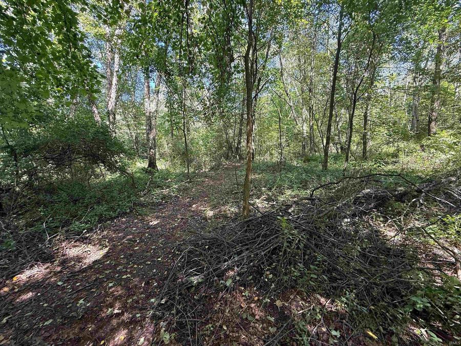 Property Image 38