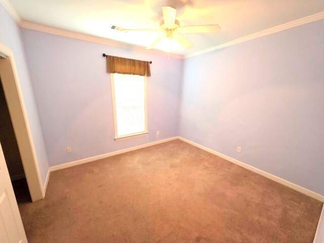 195 Ballard Lane Photo 11