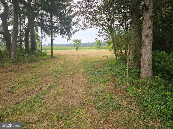 13096 RUSSELL ROAD , BRIDGEVILLE, DE 19933
