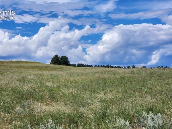 15196 Eastonville Road, Elbert, CO 80106