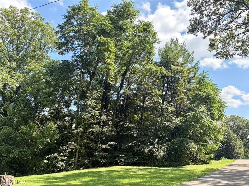 0 Pleasant View Drive, Nashport, OH 43830 Photo 3