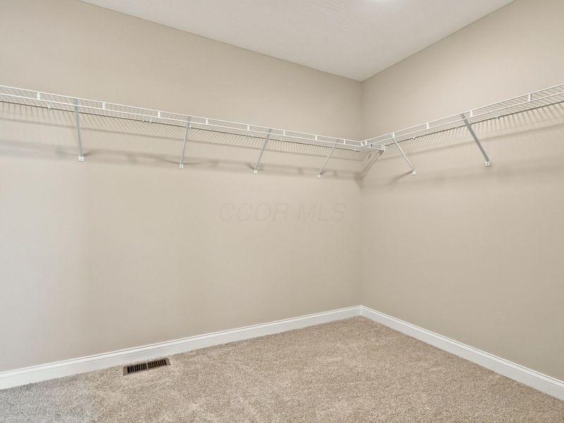 75 Swan Valley Place, Galena, OH 43021 Photo 53