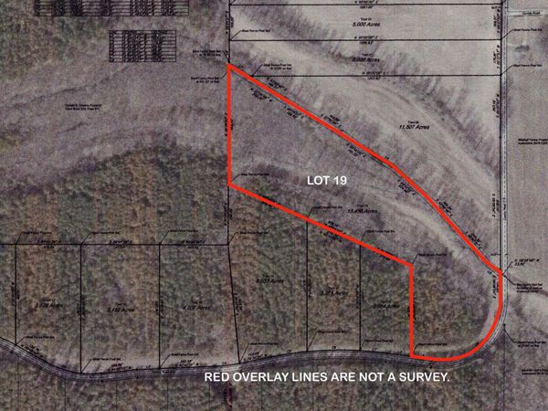Lot 19 County Road 518, Rienzi, MS 38865