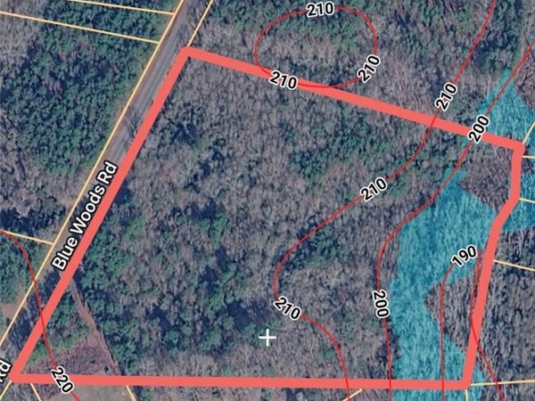 BLUE WOODS Road, Laurinburg, NC 28352