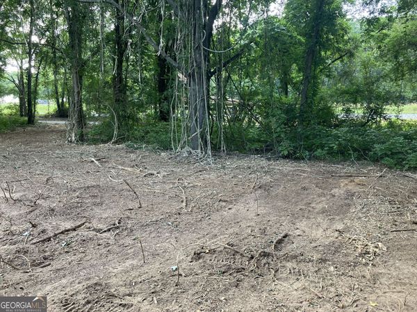 0 Durand Highway, Warm Springs, GA 31830